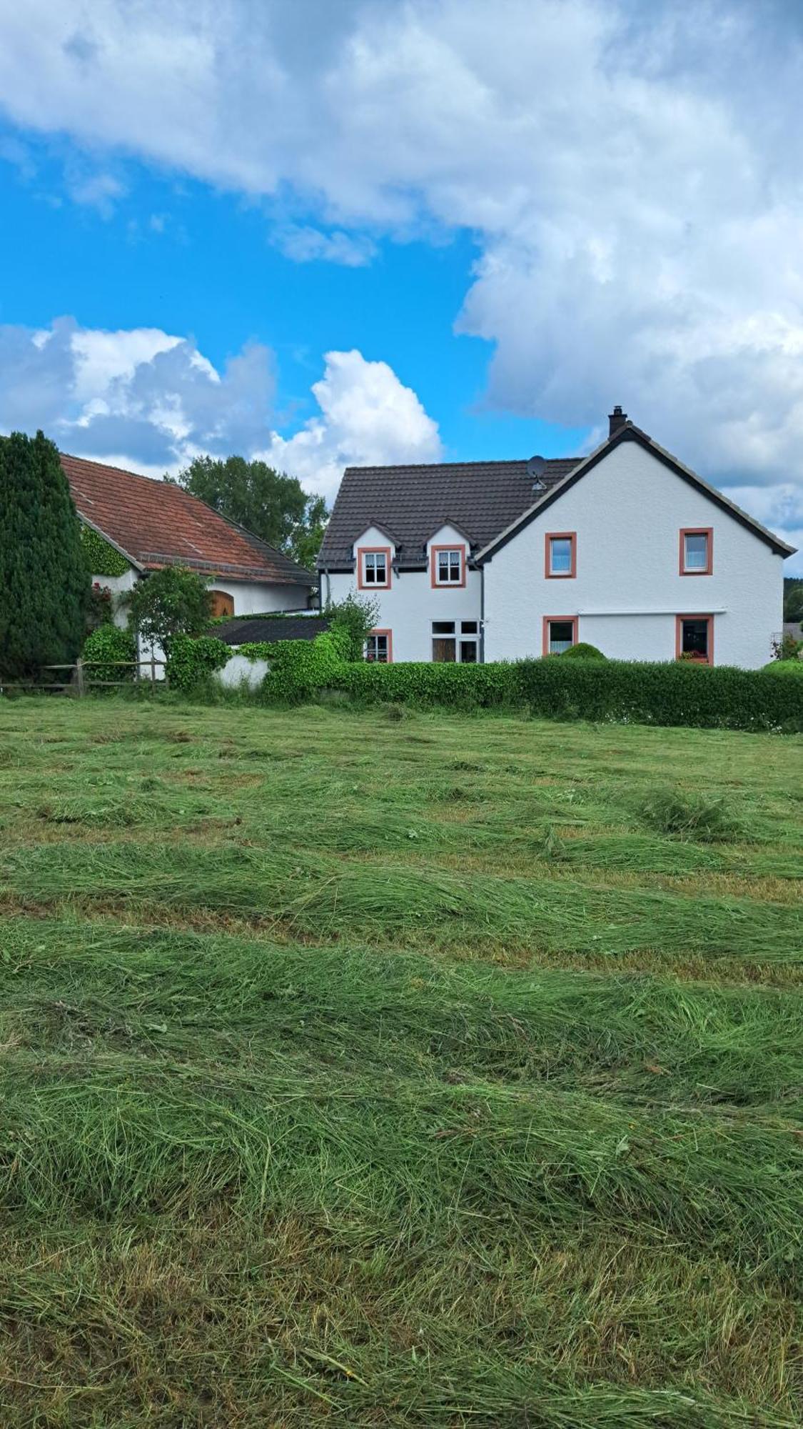 Ferienwohnung Eifelgold Esch Esch (Rhineland-Palatinate) Exterior foto
